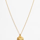 The Shell Pendant Necklace