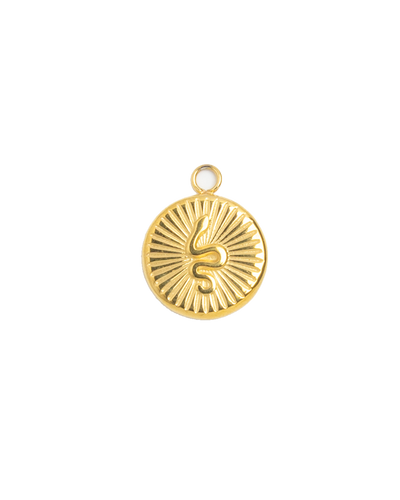 Gold Charm Ray Medallion