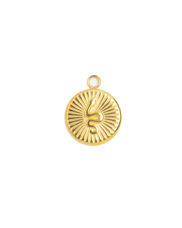 Gold Charm Ray Medallion