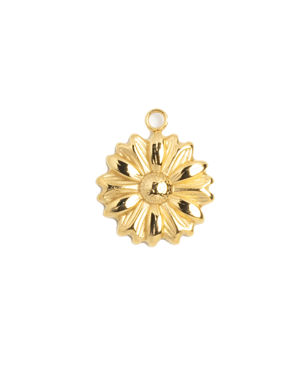 Gold Charm Dahlia