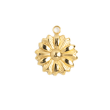 Gold Charm Dahlia