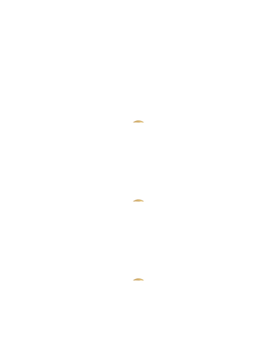 Gold Charm Shark