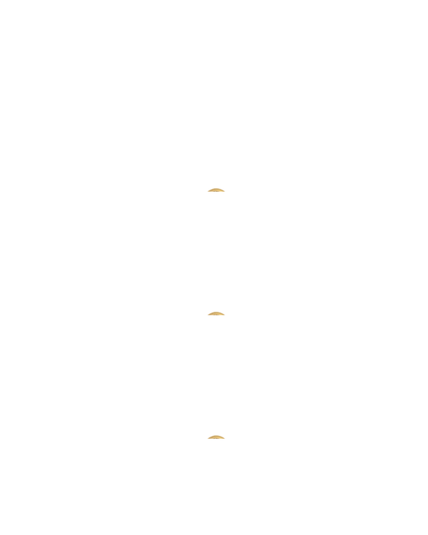 Gold Charm Shark