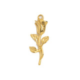 Gold Rose Drawing