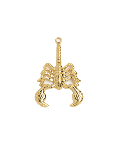 Gold Charm Cactus