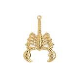 Gold Charm Cactus