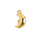 Gold Charm Moon Face