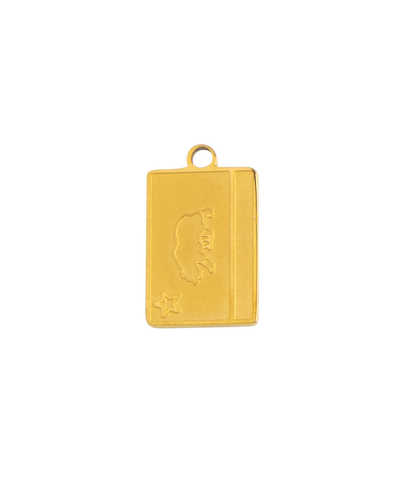 Gold Charm California Suitcase