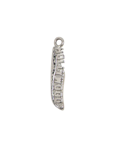 Silver Capricorn Zodiac