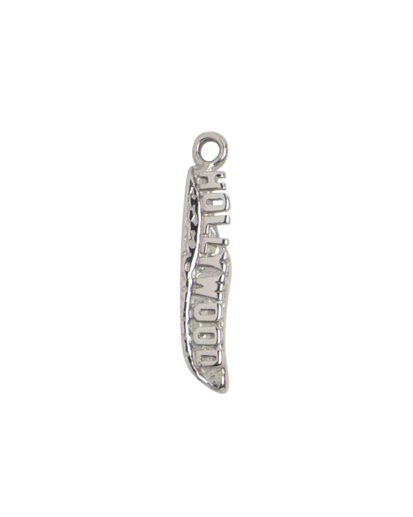Silver Capricorn Zodiac
