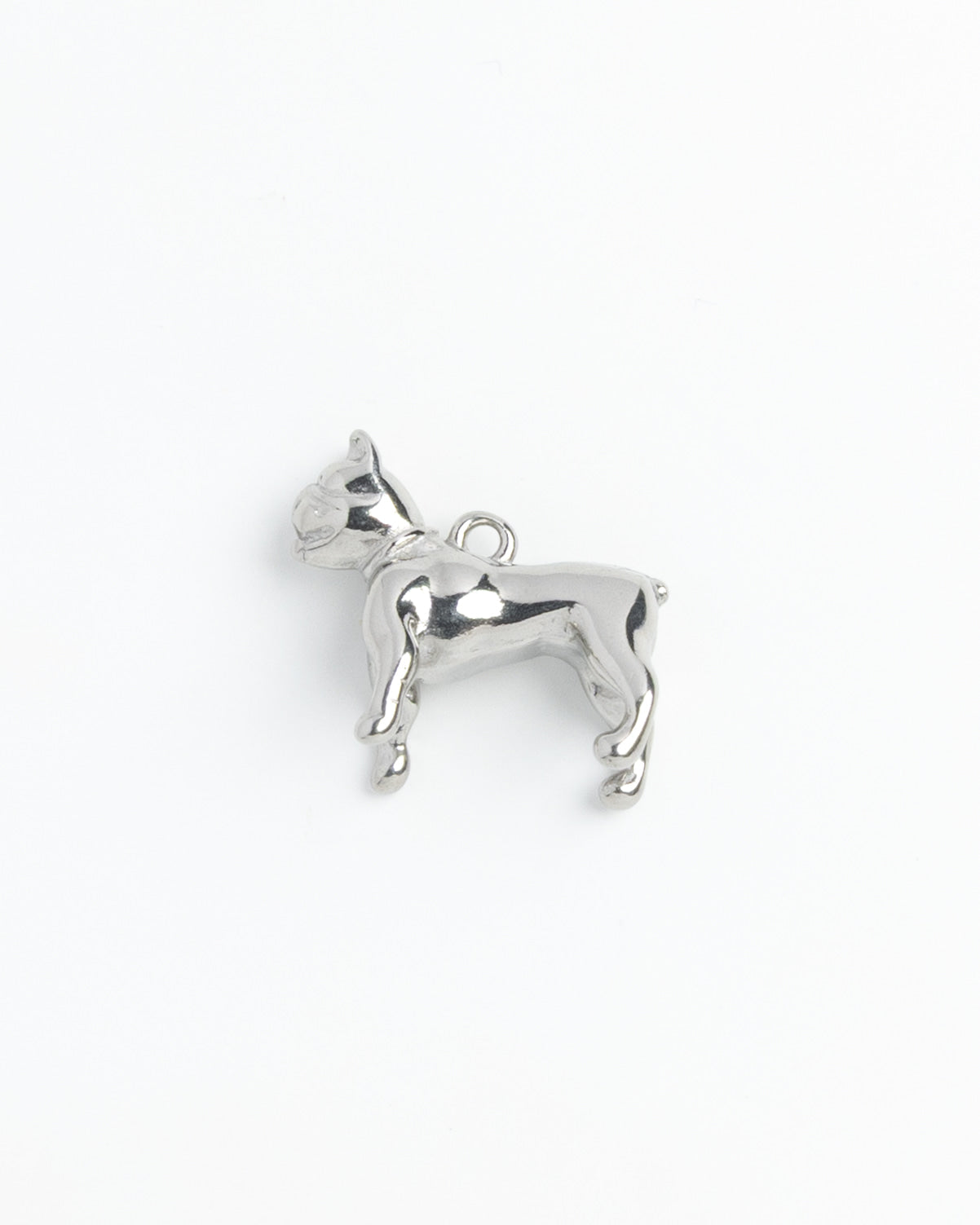 Silver Charm French Bulldog