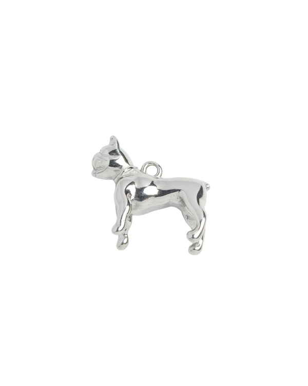 Silver Charm French Bulldog