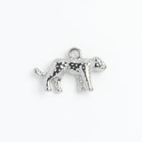 Silver Charm Leopard