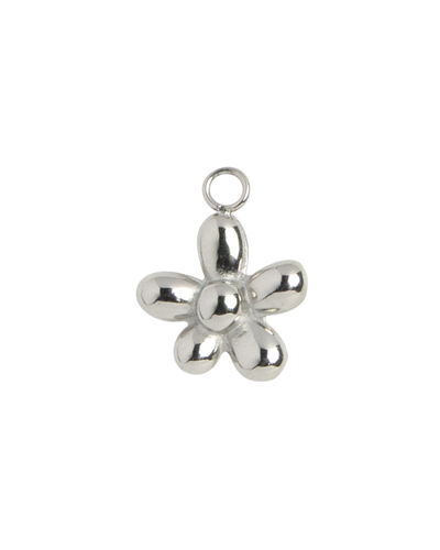 Silver Charm Dachshund