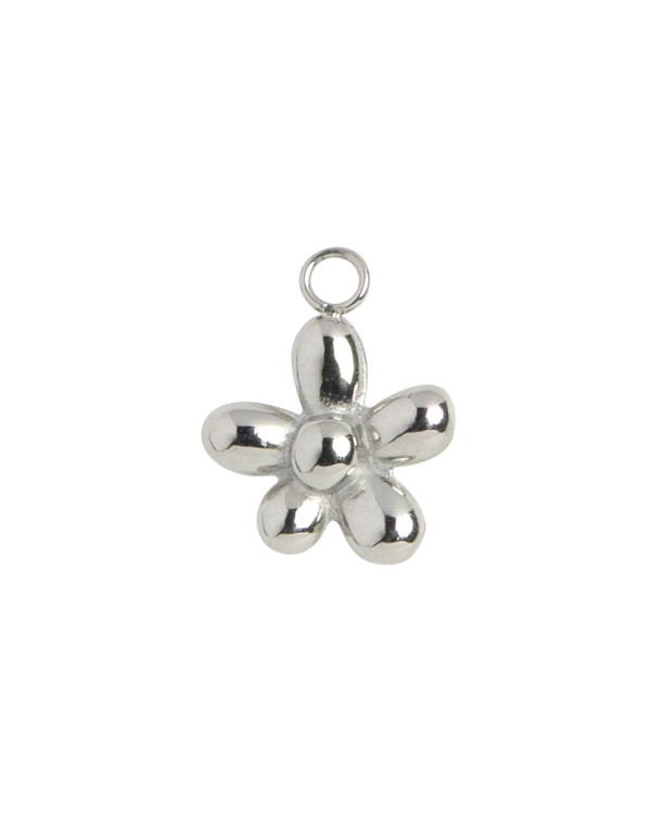 Silver Charm Dachshund