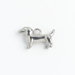 Silver Charm Dachshund