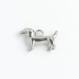 Silver Charm Dachshund