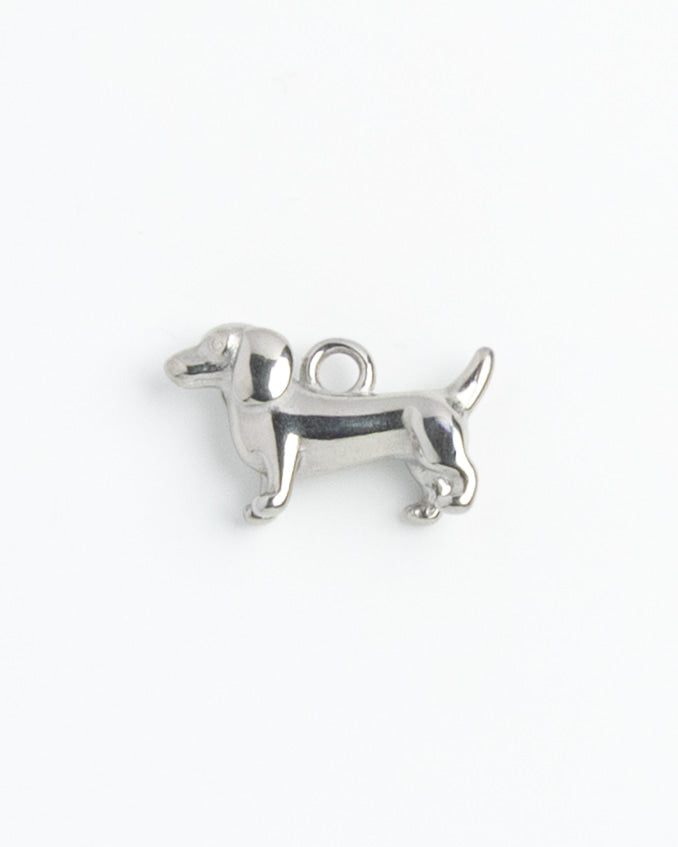 Silver Charm Dachshund