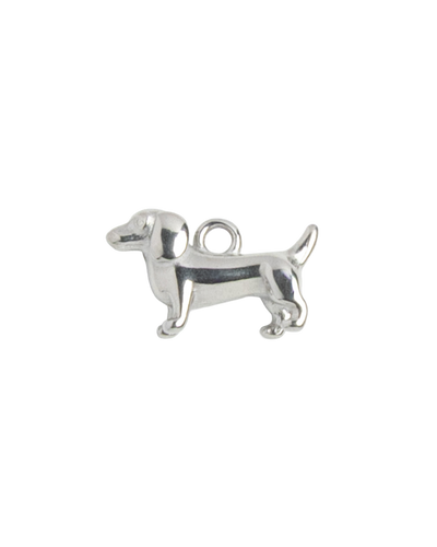 Silver Charm Dachshund