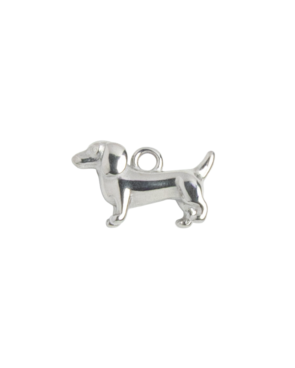 Silver Charm Dachshund