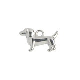 Silver Charm Dachshund