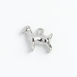 Silver Charm Terrier