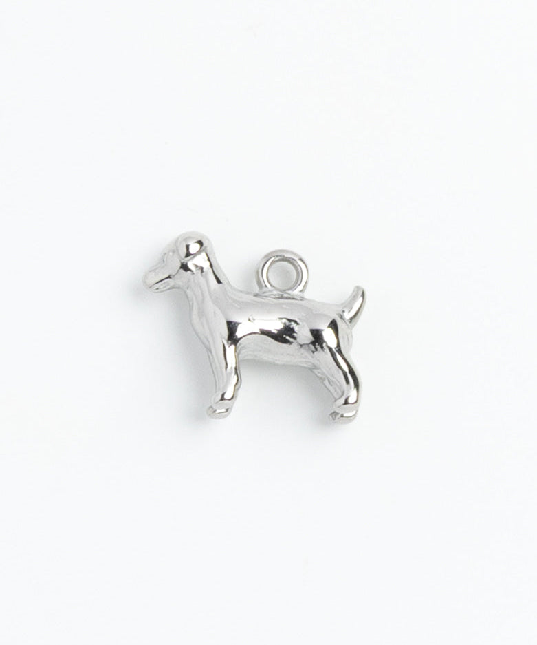 Silver Charm Terrier