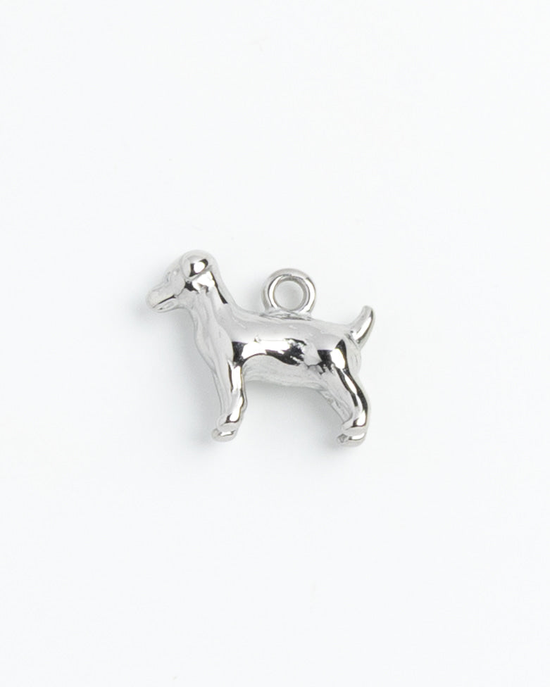Silver Charm Terrier