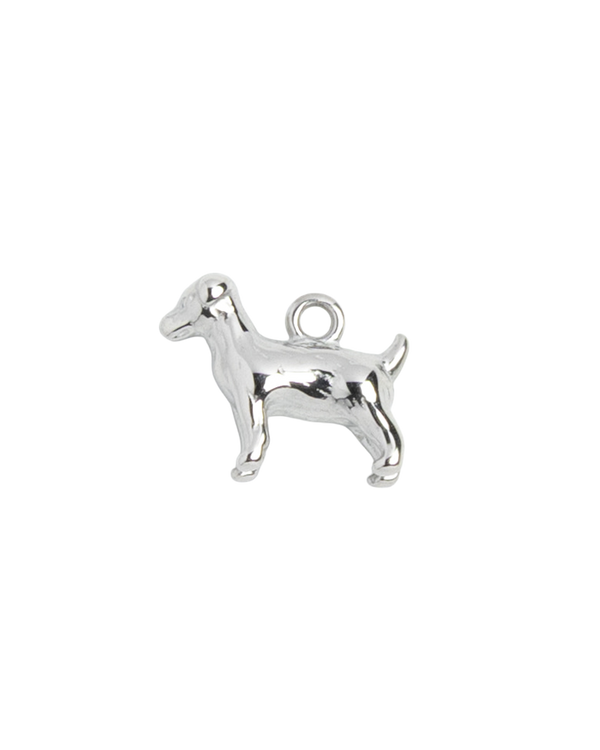Silver Charm Terrier