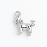 Silver Charm Chihuahua
