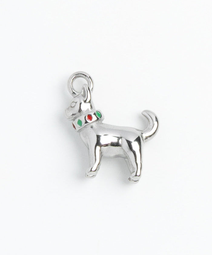 Silver Charm Chihuahua