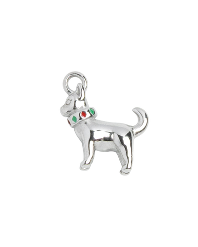 Silver Charm Chihuahua