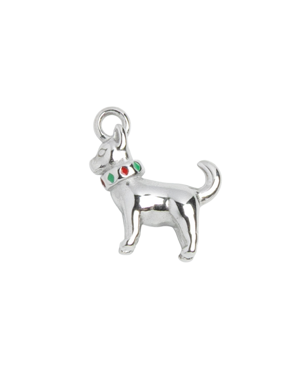 Silver Charm Chihuahua