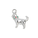 Silver Charm Chihuahua
