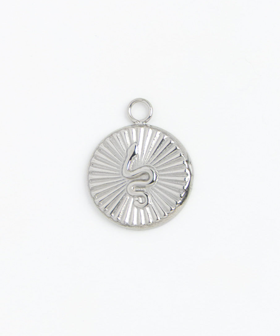Silver Charm Snake Medallion
