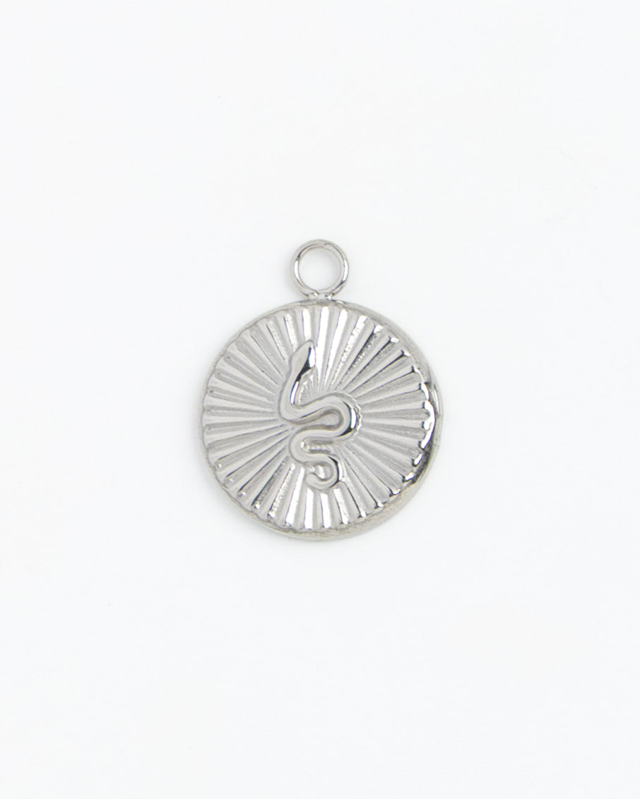 Silver Charm Snake Medallion