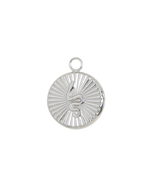 Silver Charm Snake Medallion