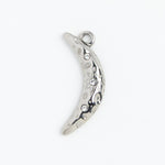 Silver Charm Celestial Moon