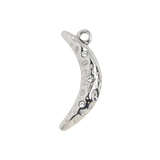 Silver Charm Celestial Moon