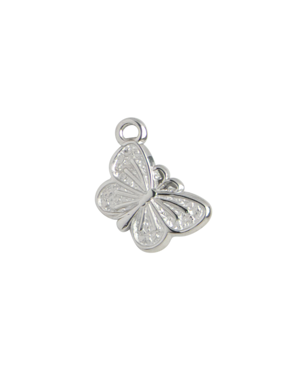 Silver Charm Moon Medallion