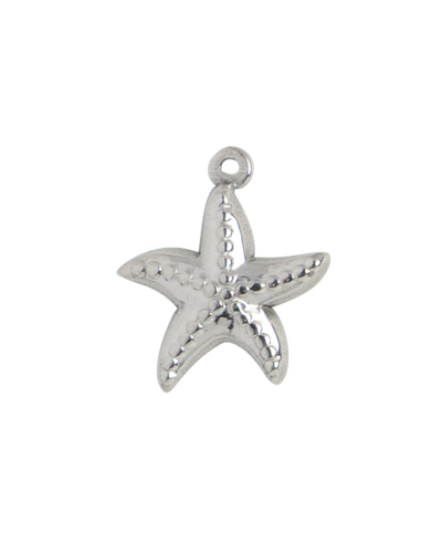 Silver Charm Angel Wings