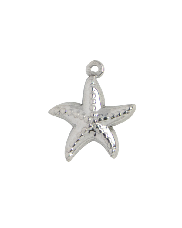 Silver Charm Angel Wings