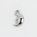 Silver Charm Moon Face