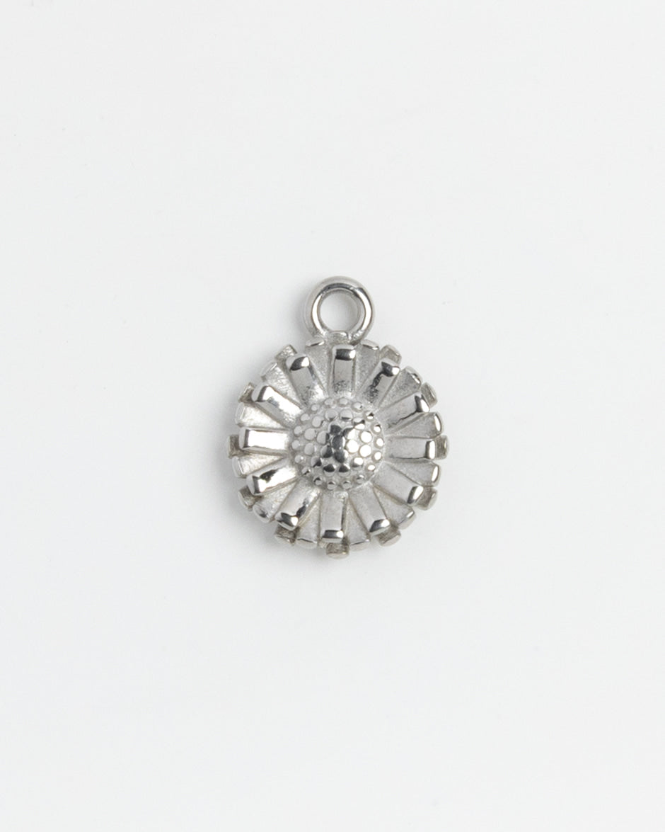 Silver Charm Daisy