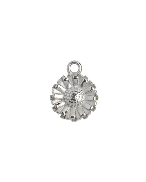 Silver Charm Daisy