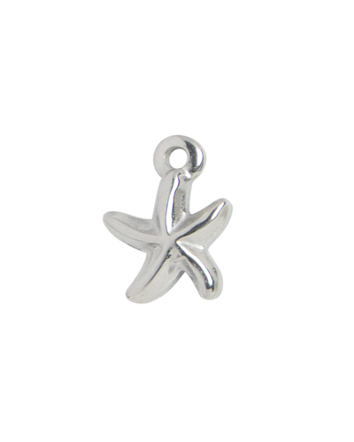 Silver Charm Clothes Hanger