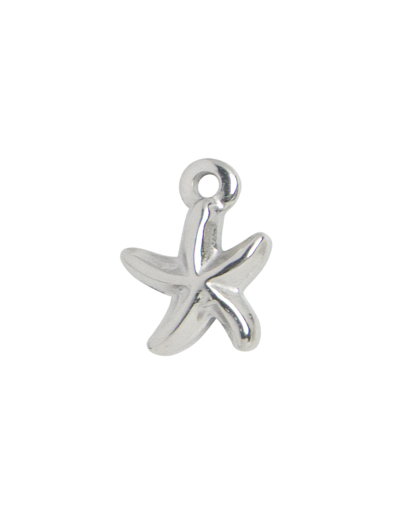 Silver Charm Clothes Hanger