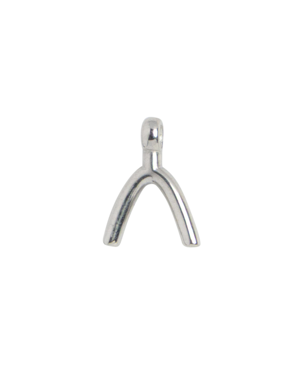 Silver Charm Fries Cup