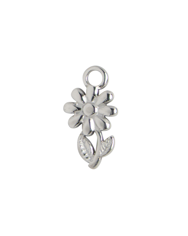 Silver Charm Sacred Heart