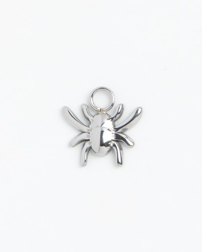 Silver Charm Spider